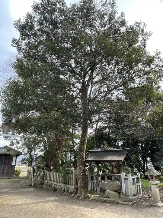 高屋八幡神社(滋賀県)
