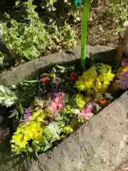 岡部春日神社～👹鬼門よけの🌺花咲く🌺やしろ～(福島県)