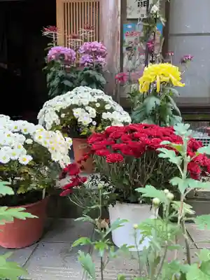 大宮温泉神社(栃木県)
