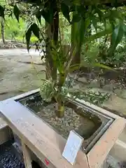 赤坂氷川神社(東京都)