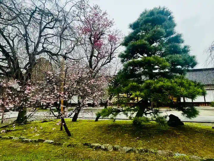 富山縣護國神社(富山県)