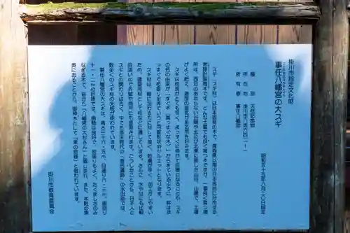 事任八幡宮(静岡県)