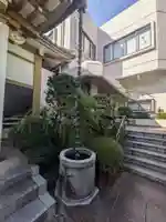 皆応寺(東京都)