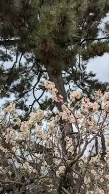 白雲神社(京都府)