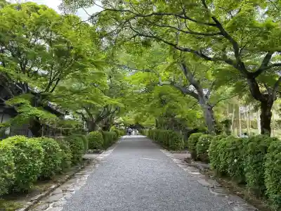西教寺(滋賀県)
