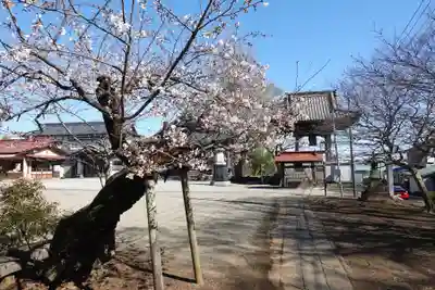 慈恩寺(埼玉県)