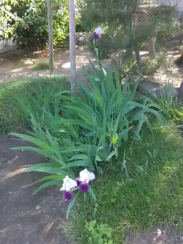 九品寺(神奈川県)
