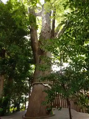 鎮守氷川神社(埼玉県)
