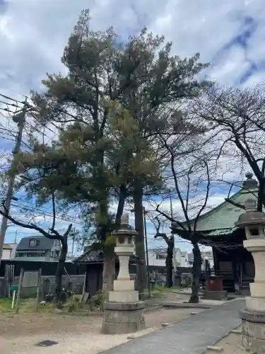 沼影観音堂（廣田寺）の{uncategorized: "未分類", other: "その他", undefined: "問題あり", building: "その他建物", grave: "お墓", sacred_gate: "鳥居", guardian: "狛犬", statue: "像", buddha: "仏像", history: "歴史", nature: "自然", garden: "庭園", animal: "動物", pagoda: "塔", temizu: "手水舎", mountain_gate: "山門・神門", sanctuary: "本殿・本堂", subordinate: "末社・摂社", art: "芸術", scenery: "景色", jizo: "地蔵", ema: "絵馬", goshuin: "御朱印", omikuji: "おみくじ", items: "授与品その他", amulet: "お守り", goshuincho: "御朱印帳", eats: "食事", festival: "お祭り", votive_dance: "神楽", shichigosan: "七五三参", wedding: "結婚式", experience: "体験その他", initially: "初詣", around: "周辺", anti_infection: "感染症対策"}