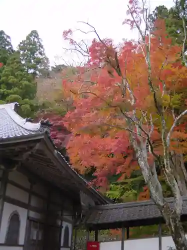 永源寺の建物その他