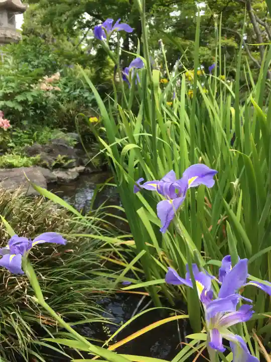 福祥寺(須磨寺)の自然