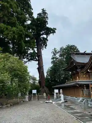 八幡宮(茨城県)