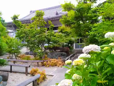 光明禅寺の自然