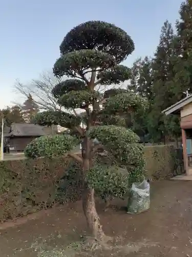 伏木香取神社の庭園