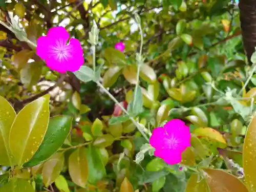 阿邪訶根神社(福島県)