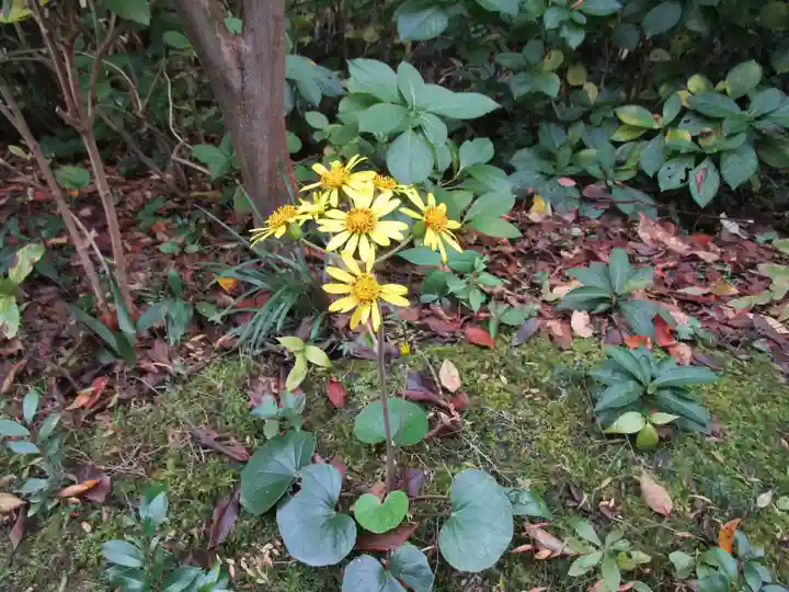 當麻寺中之坊(奈良県)