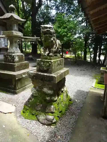 岡留熊野座神社の狛犬