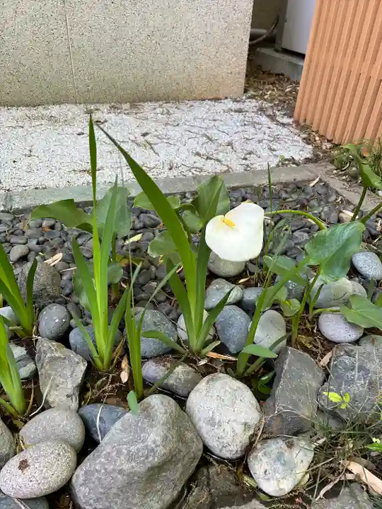 行田八幡神社(埼玉県)