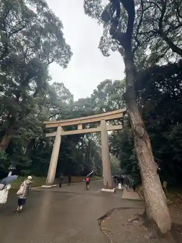 明治神宮(東京都)