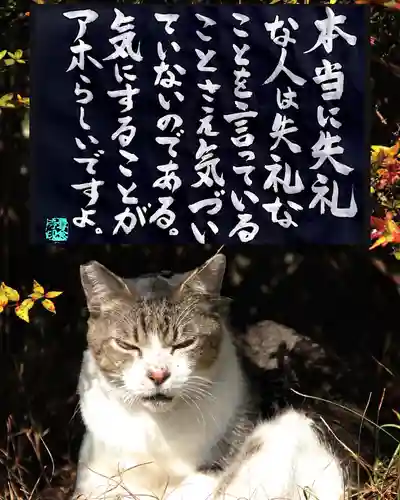 専念寺(大阪府)
