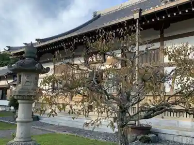 報恩寺の本殿・本堂