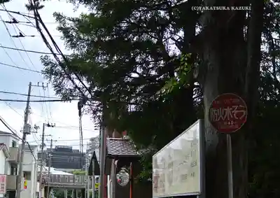 丸子山王日枝神社(神奈川県)
