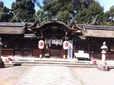 平野神社の本殿・本堂