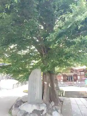 滝野川八幡神社(東京都)