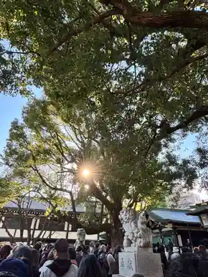 穴八幡宮(東京都)