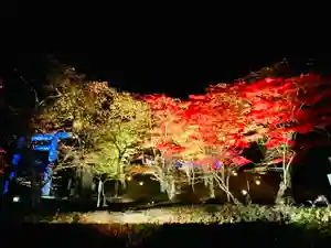 土津神社|こどもと出世の神さまの自然(2021年10月29日(金) 18時03分19秒投稿)