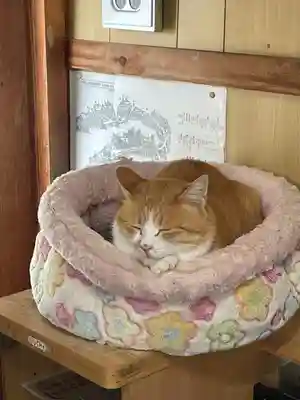 薬師院(岡山県)