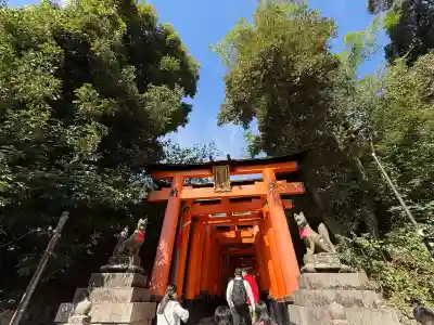 伏見稲荷大社(京都府)