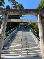 針綱神社の鳥居