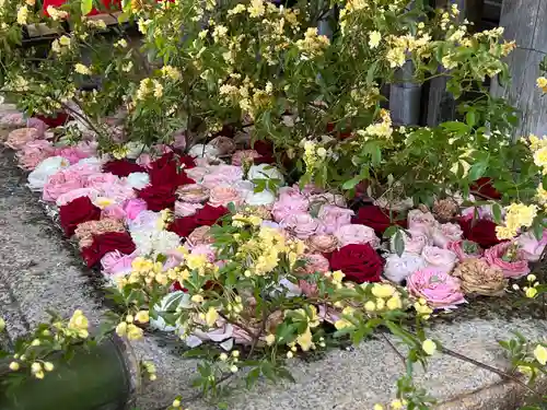 北野天満宮(京都府)