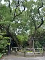 伊勢神宮外宮(豊受大神宮)(三重県)