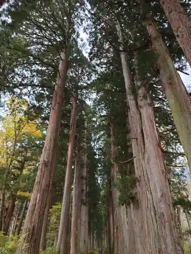戸隠神社奥社(長野県)