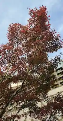 出雲大社倉敷教会(岡山県)