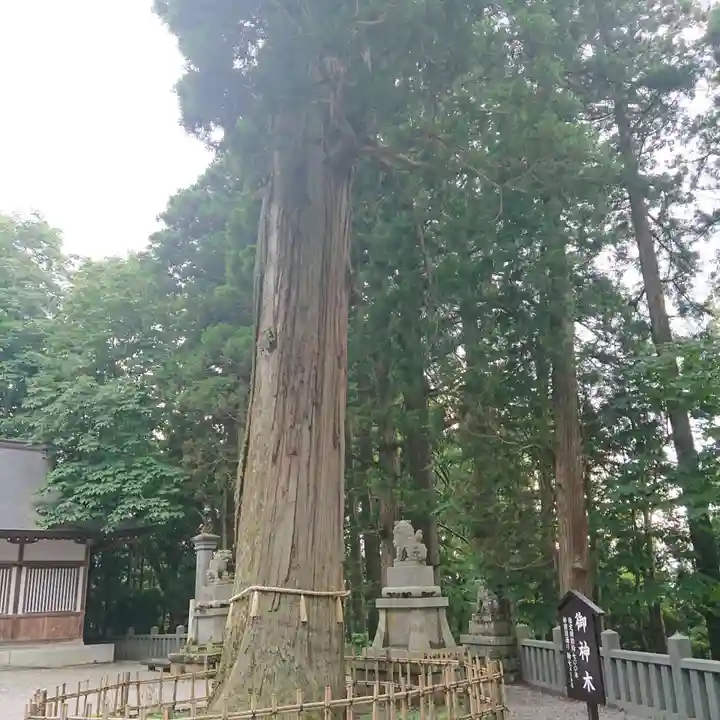 戸隠神社中社(長野県)