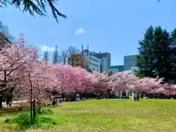 瀧澤神社の御朱印 2026年04月