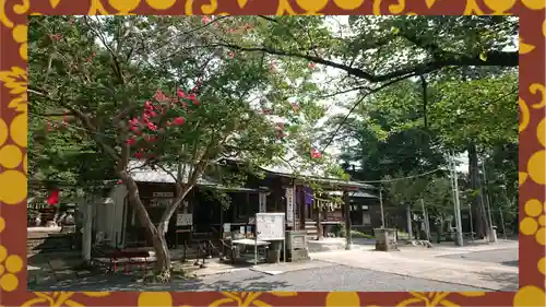 賀茂別雷神社(栃木県)