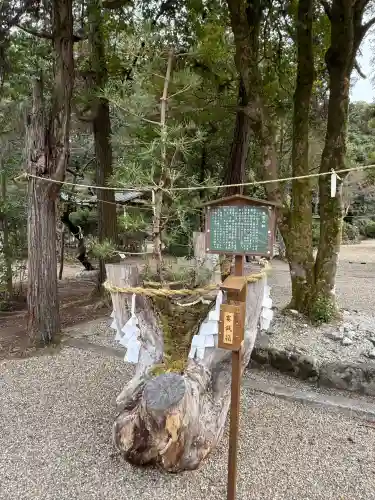 大和神社(奈良県)
