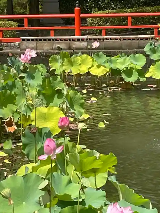長弓寺(奈良県)