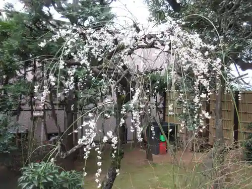 放生寺(東京都)