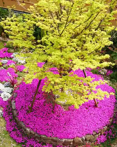 寿量山　速成寺の庭園