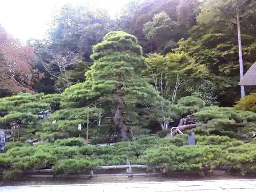 常楽寺のその他建物