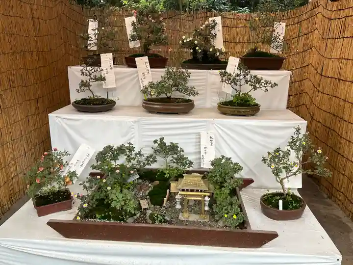 明治神宮(東京都)