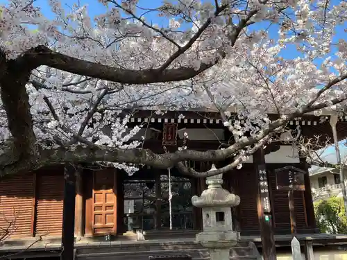 真正極楽寺（真如堂）(京都府)