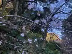 岩水寺の自然