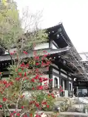 長谷寺の建物その他