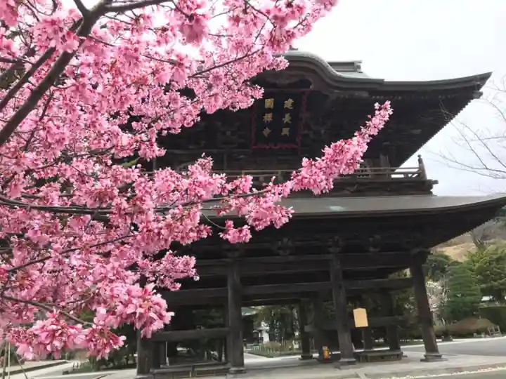 建長寺の山門・神門
